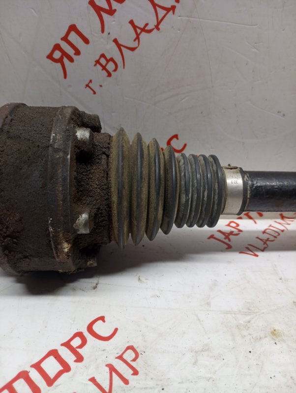 Привод, 3500 рублей, Владимир