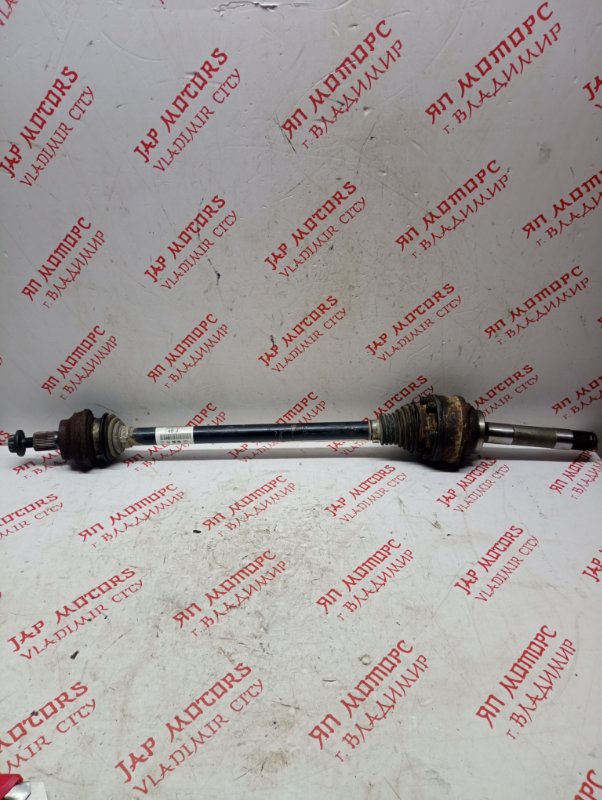 Привод, 4000 рублей, Владимир