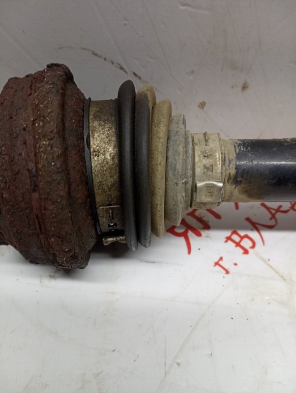 Привод, 4000 рублей, Владимир