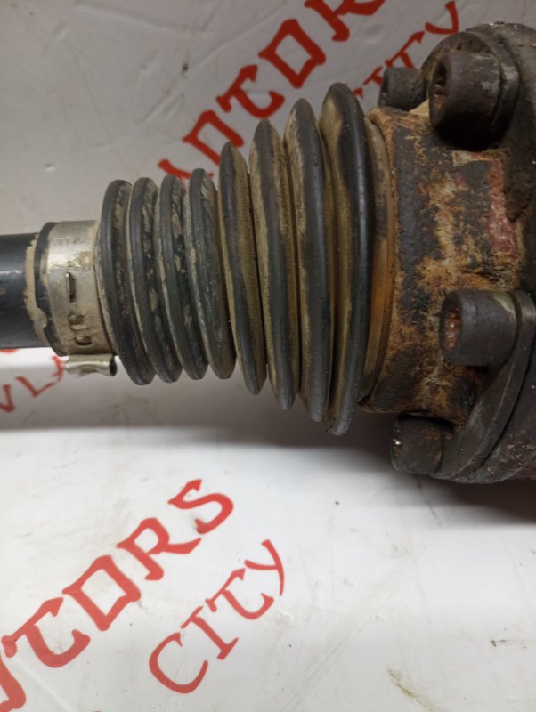 Привод, 4000 рублей, Владимир