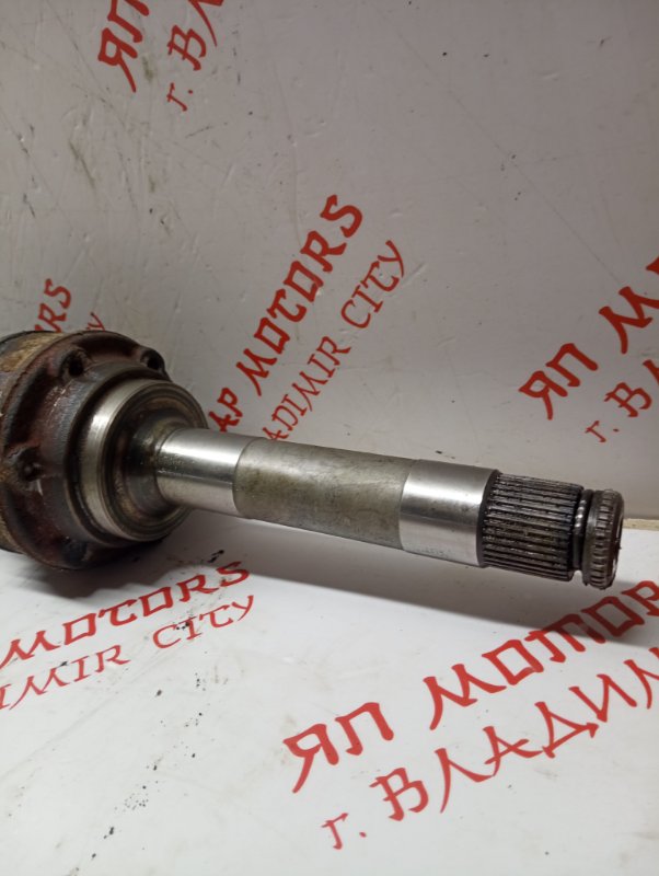 Привод, 4000 рублей, Владимир