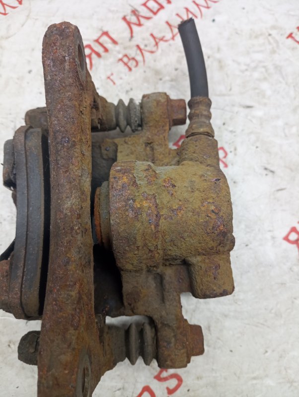 Суппорт тормозной, 1500 рублей, Владимир