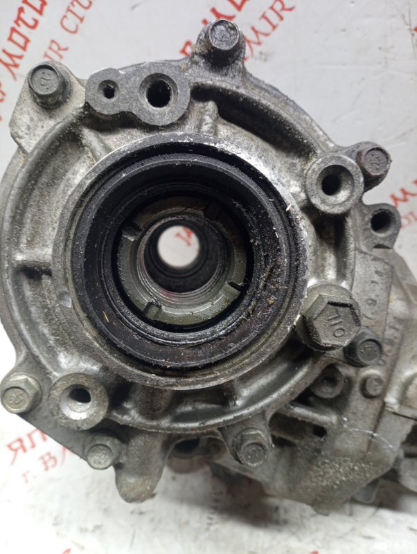 Раздатка, 5000 рублей, Владимир