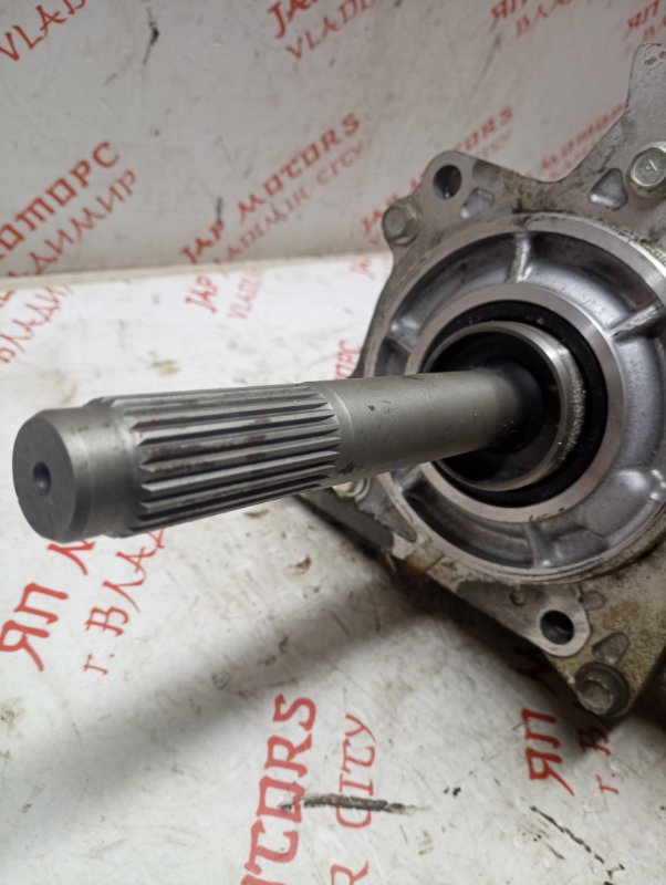 Раздатка, 5000 рублей, Владимир