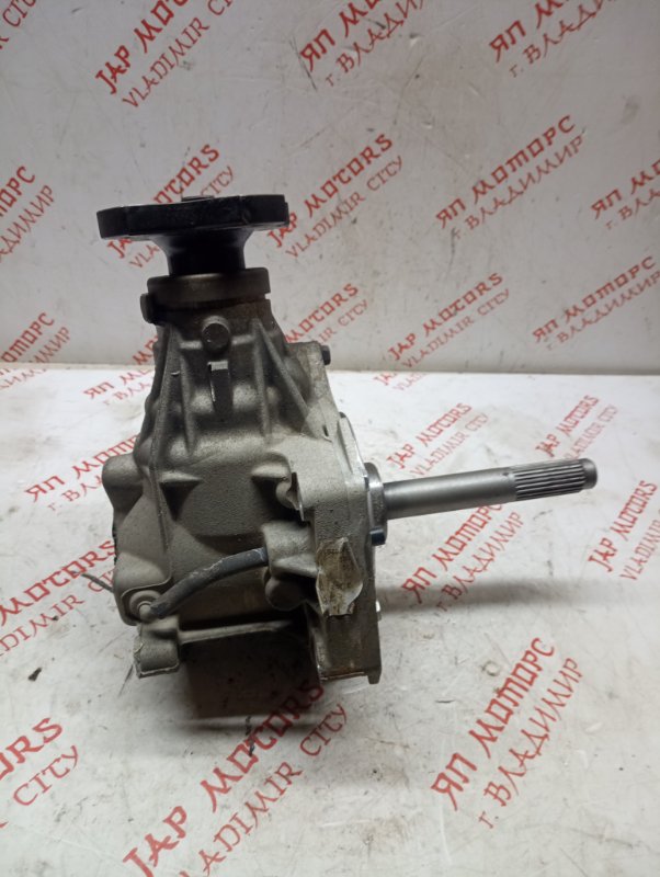 Раздатка, 5000 рублей, Владимир