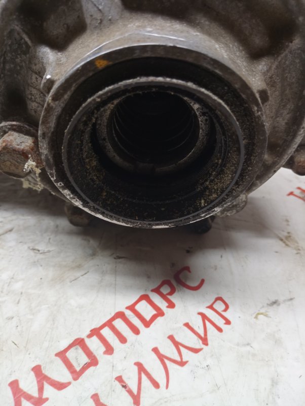 Раздатка, 5000 рублей, Владимир