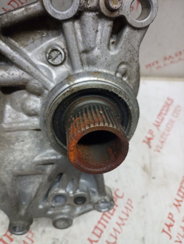 Раздатка, 5000 рублей, Владимир