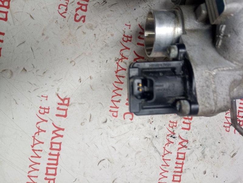 Турбина, 20000 рублей, Владимир