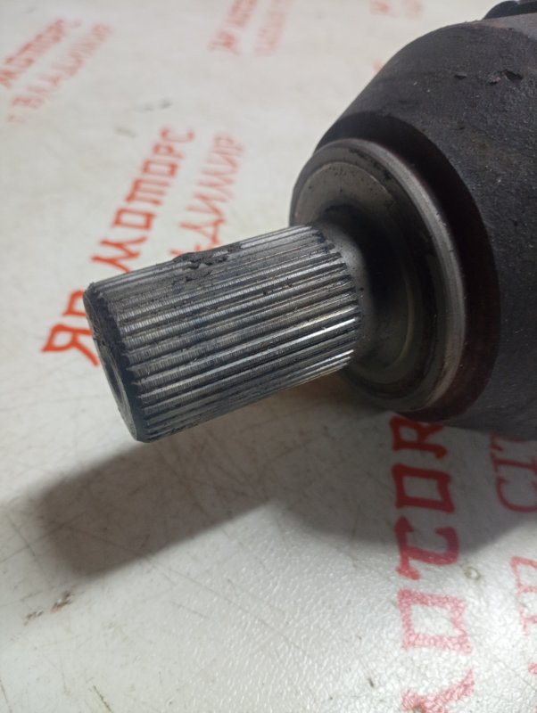 Привод, 6000 рублей, Владимир