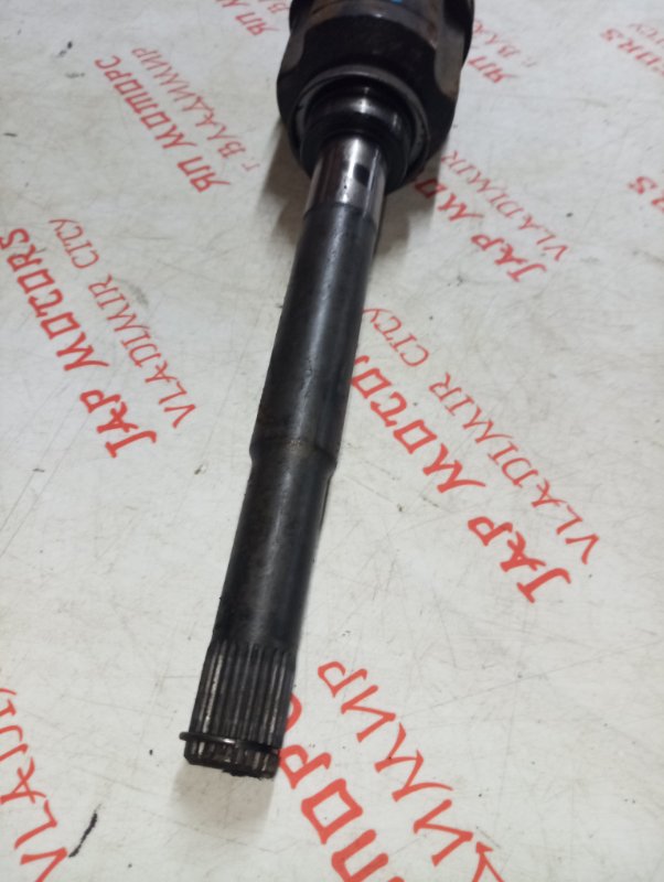 Привод, 9000 рублей, Владимир