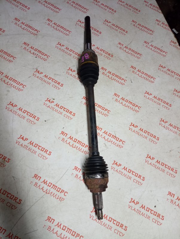 Привод, 7000 рублей, Владимир