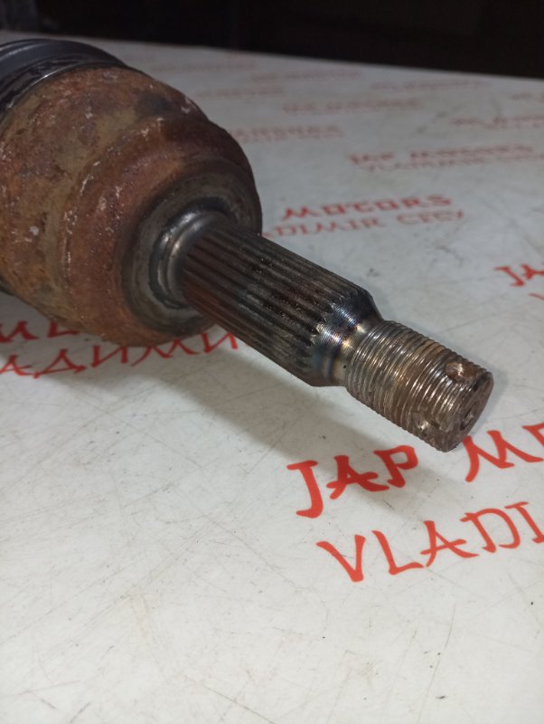 Привод, 7000 рублей, Владимир