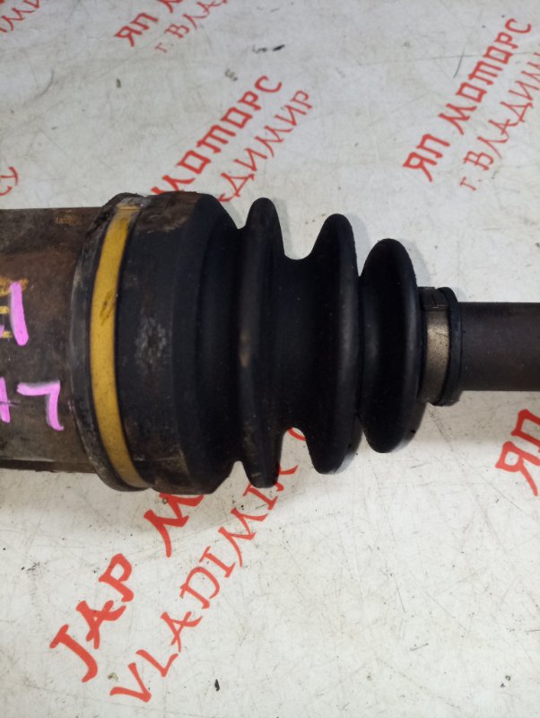 Привод, 7000 рублей, Владимир