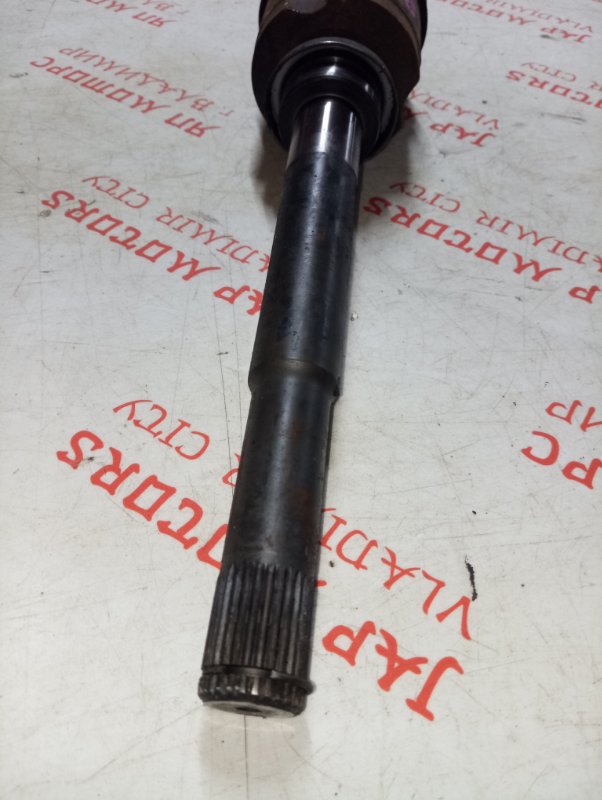 Привод, 7000 рублей, Владимир