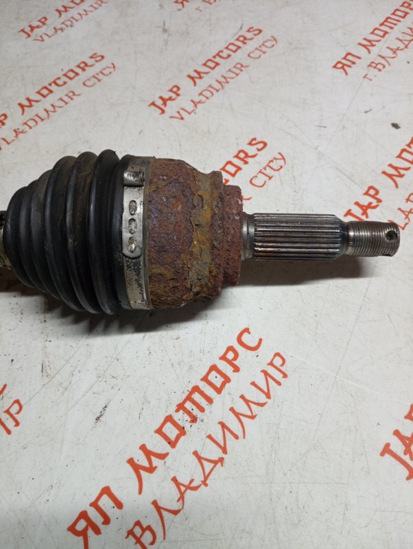 Привод, 7000 рублей, Владимир