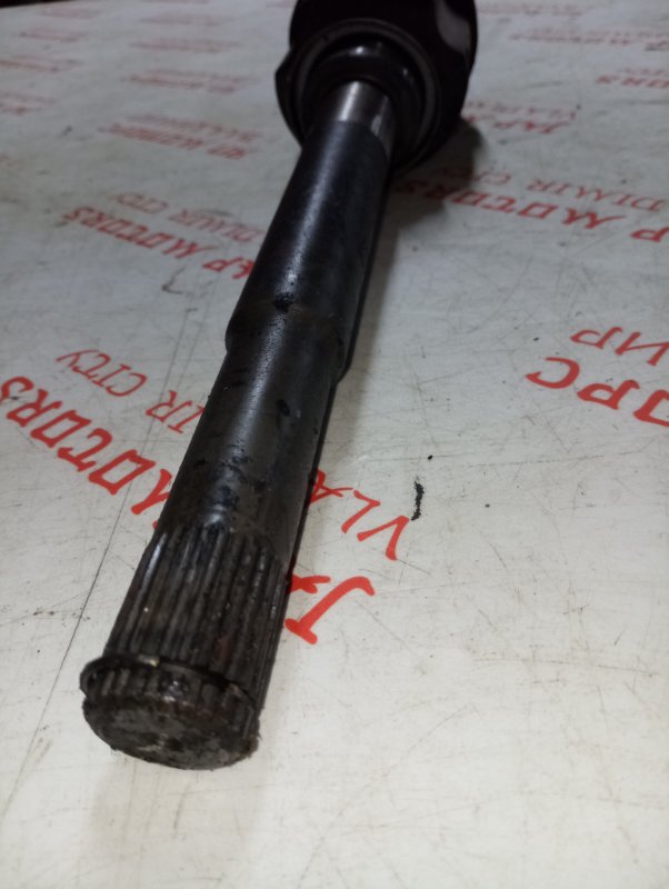 Привод, 7000 рублей, Владимир