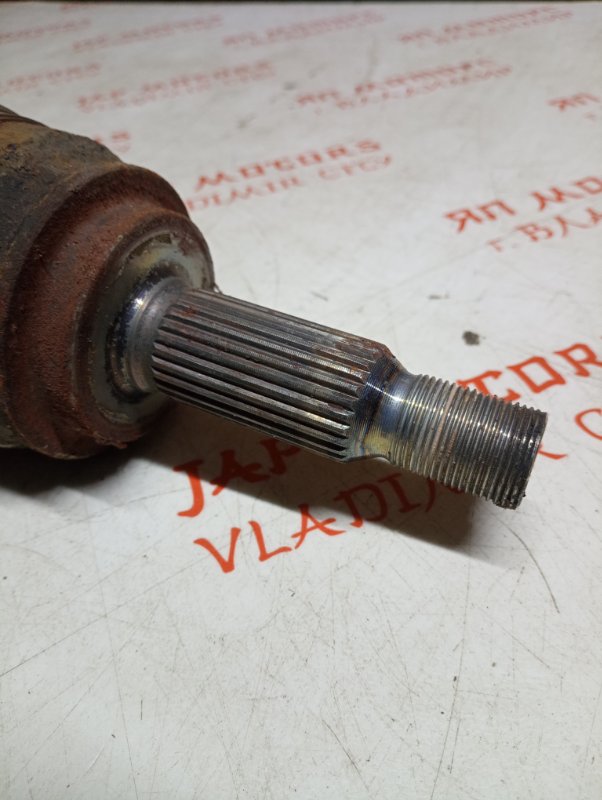 Привод, 5000 рублей, Владимир