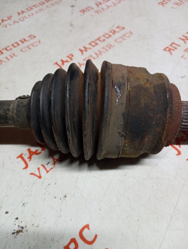 Привод, 5000 рублей, Владимир