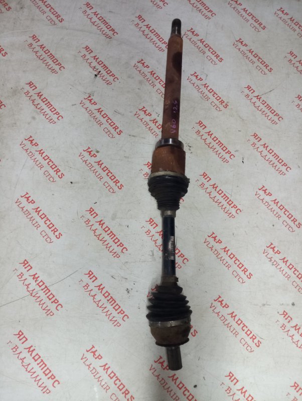 Привод, 8000 рублей, Владимир