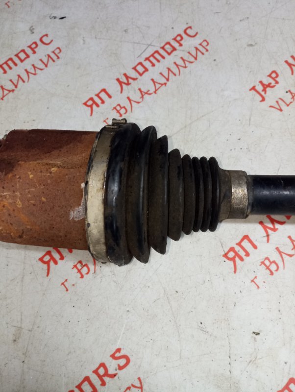 Привод, 8000 рублей, Владимир