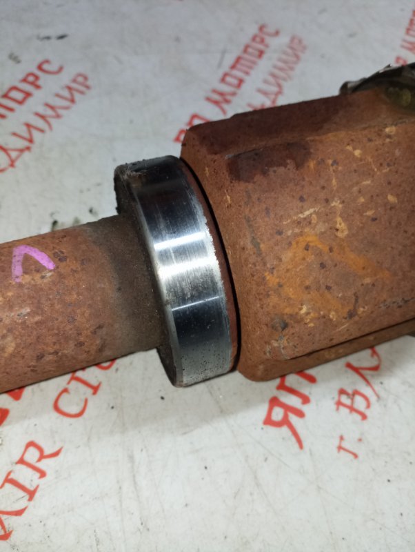 Привод, 8000 рублей, Владимир