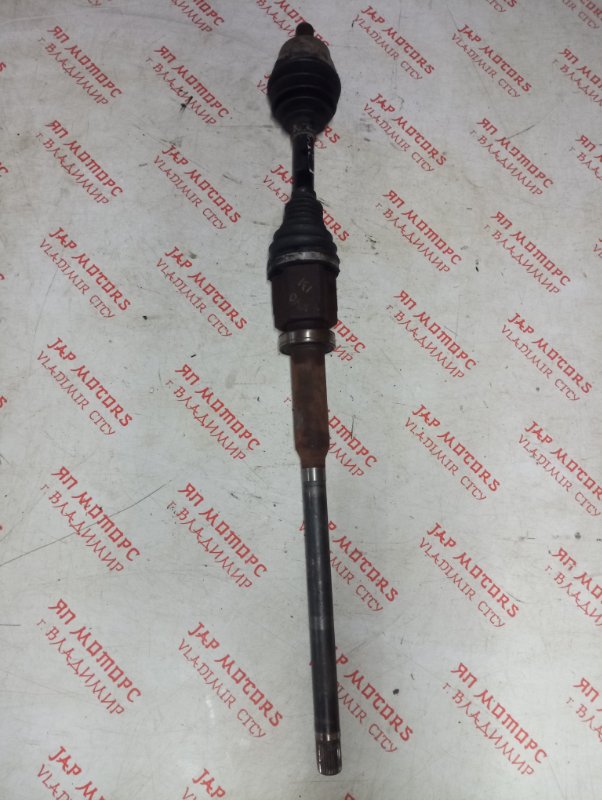 Привод, 8000 рублей, Владимир