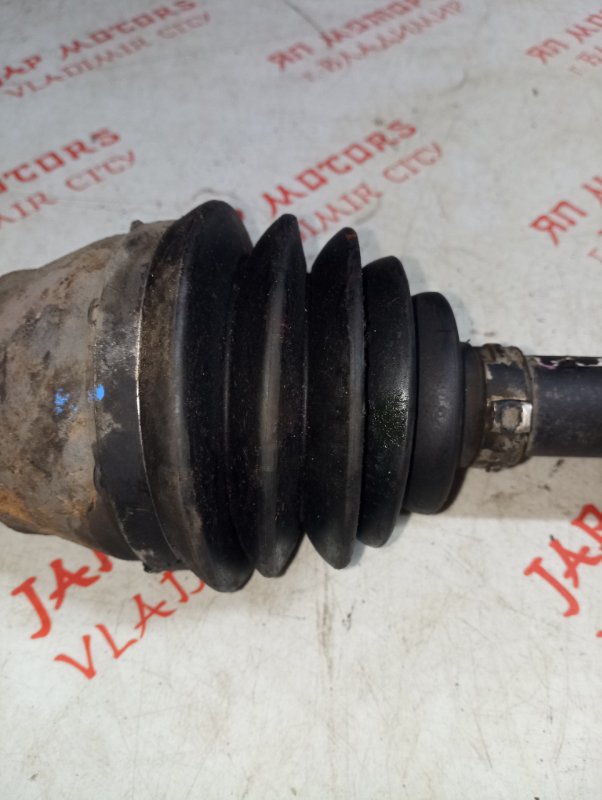 Привод, 8000 рублей, Владимир