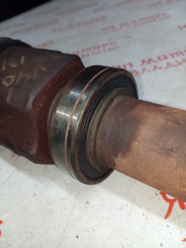 Привод, 8000 рублей, Владимир