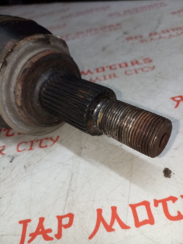 Привод, 7000 рублей, Владимир