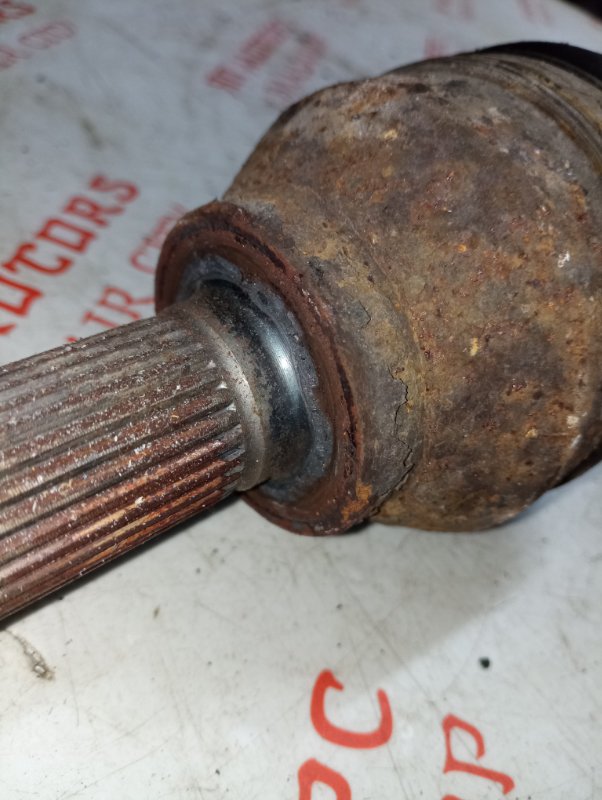 Привод, 12000 рублей, Владимир