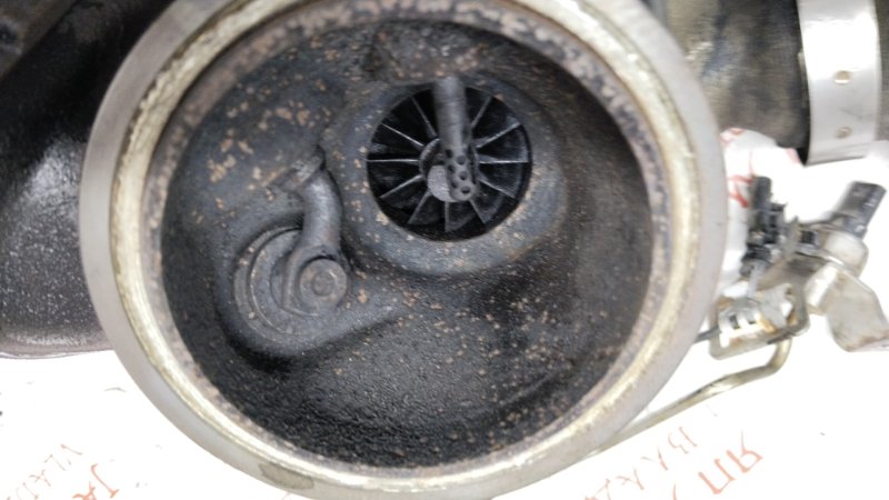 Турбина, 75000 рублей, Владимир