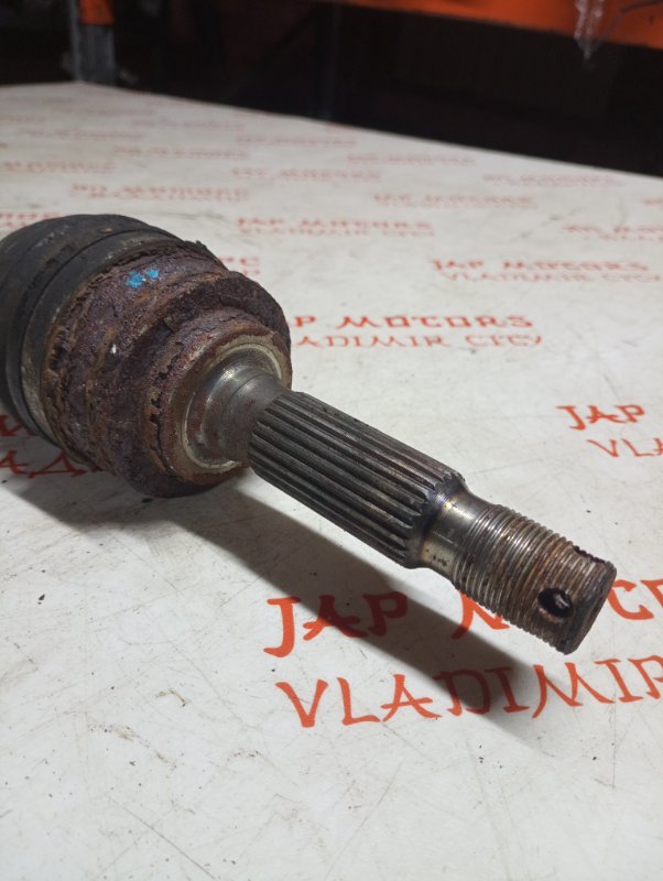 Привод, 2500 рублей, Владимир