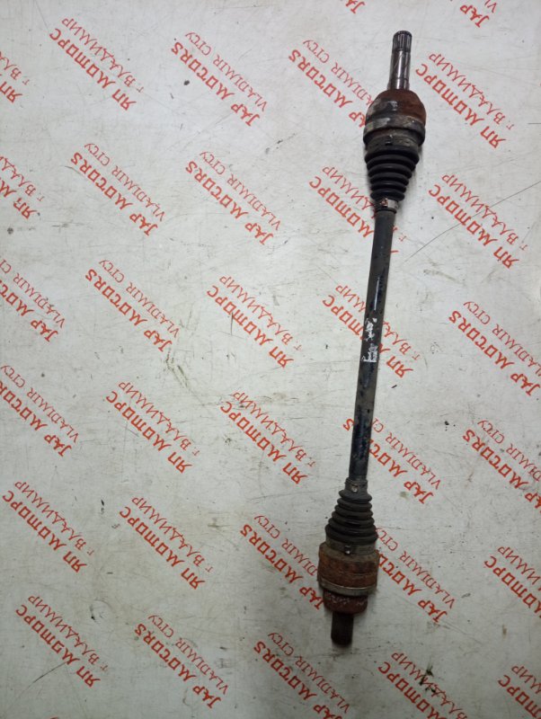 Привод, 8000 рублей, Владимир