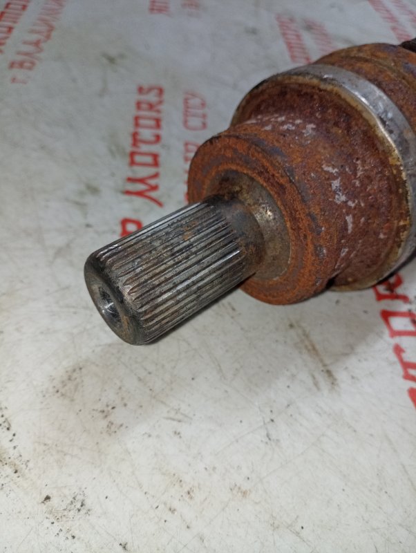 Привод, 8000 рублей, Владимир