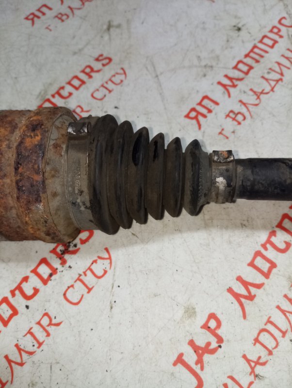 Привод, 8000 рублей, Владимир