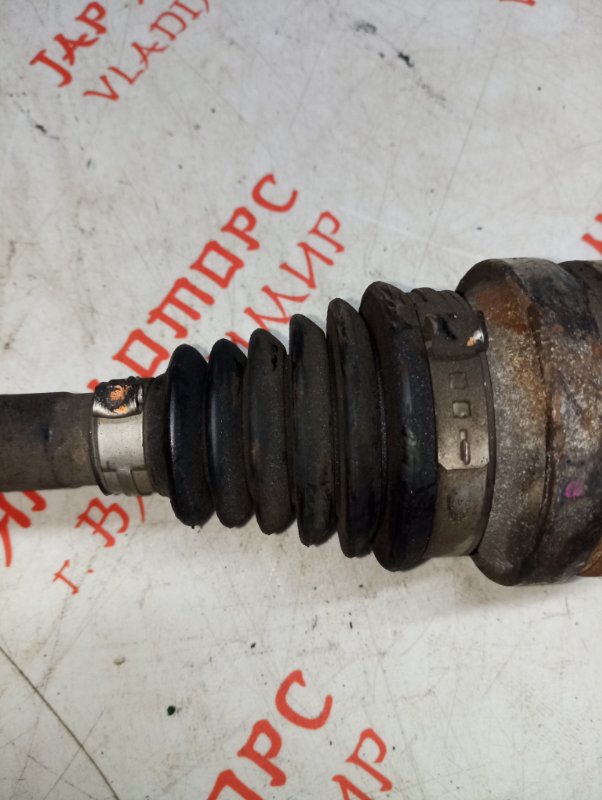 Привод, 8000 рублей, Владимир