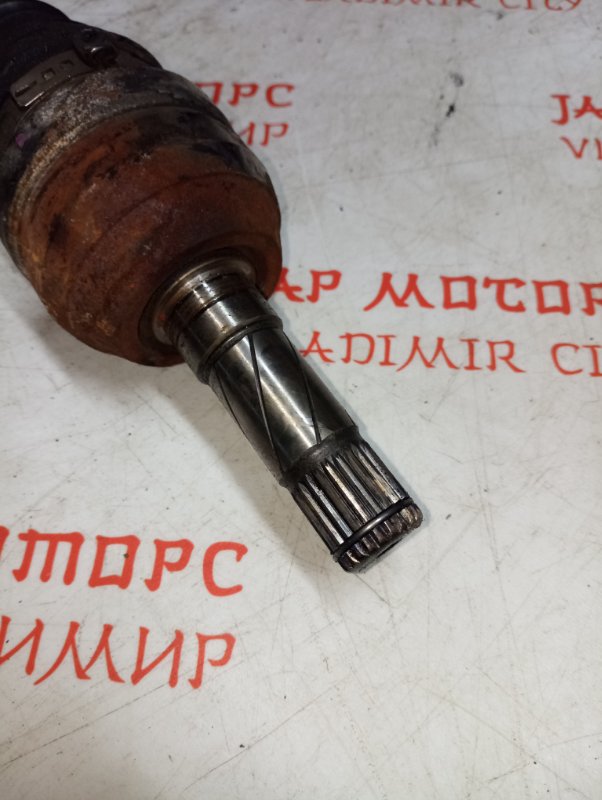 Привод, 8000 рублей, Владимир