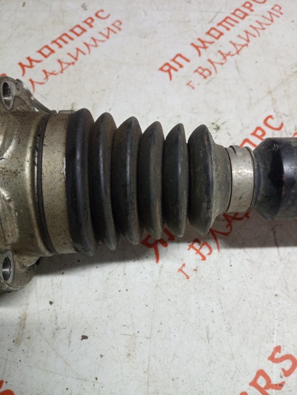 Привод, 10000 рублей, Владимир