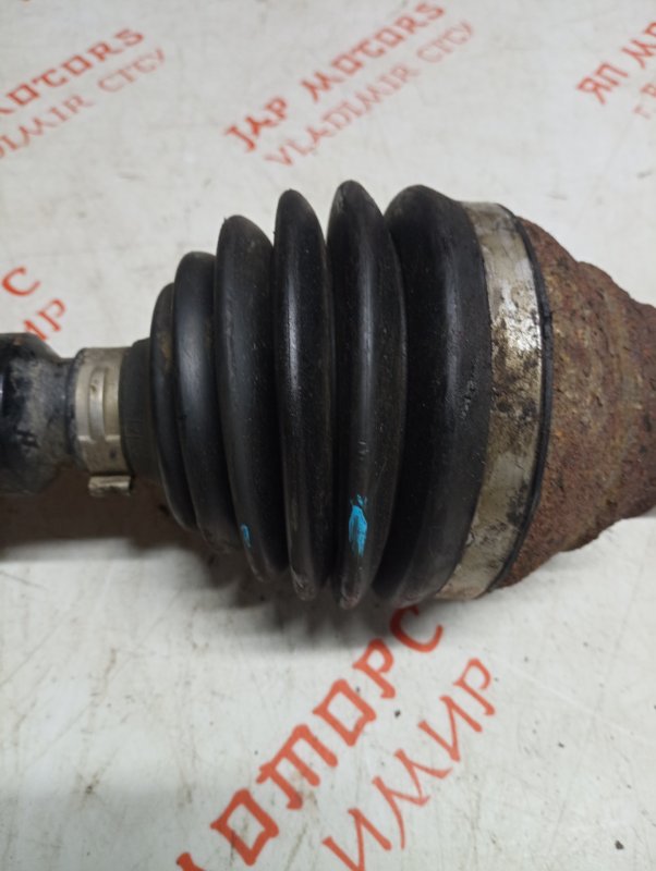 Привод, 10000 рублей, Владимир