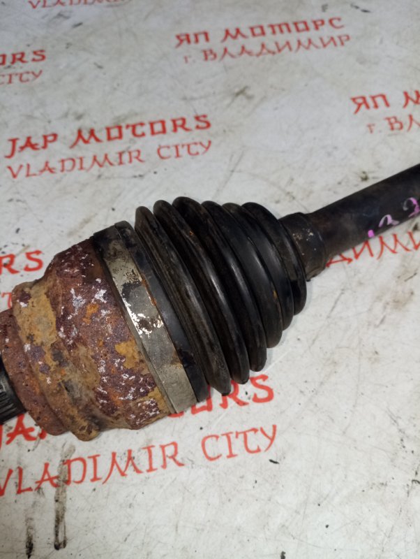 Привод, 3500 рублей, Владимир