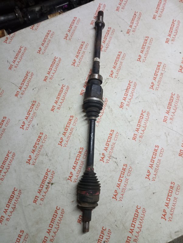 Привод, 15000 рублей, Владимир