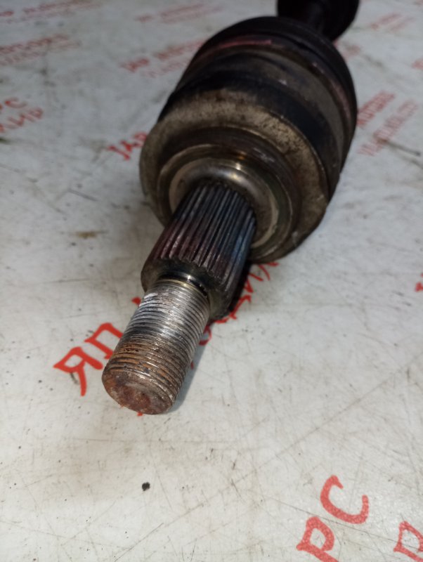 Привод, 15000 рублей, Владимир