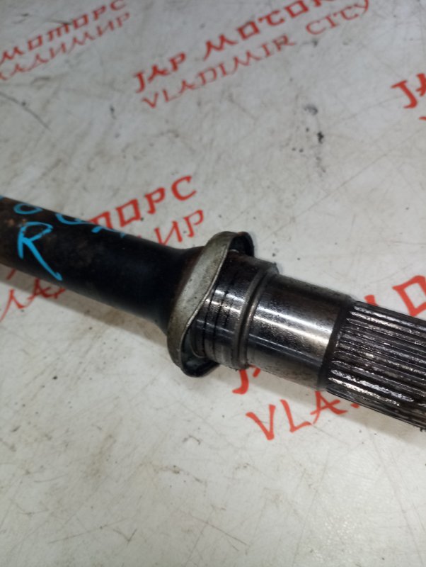 Привод, 15000 рублей, Владимир