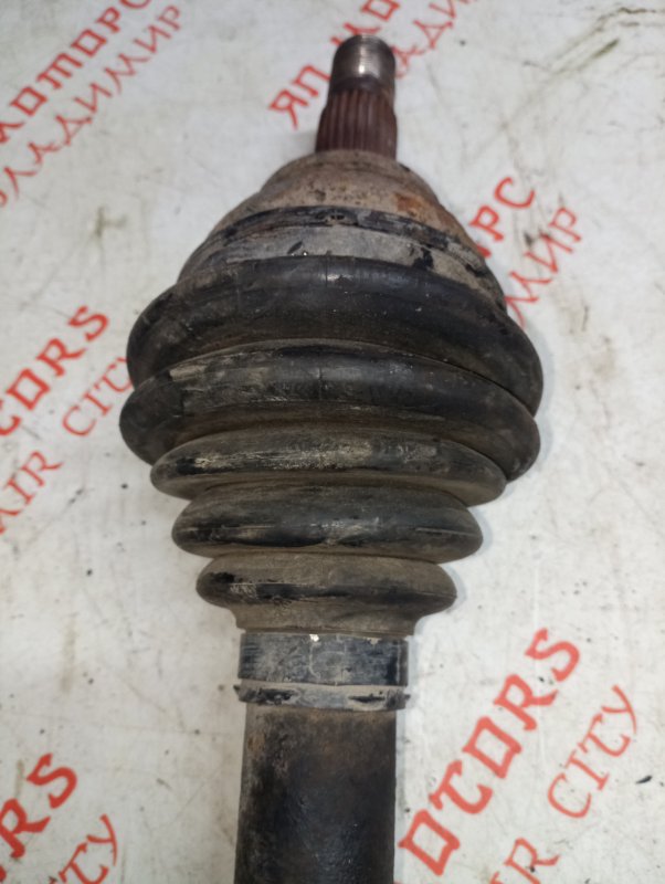 Привод, 3500 рублей, Владимир