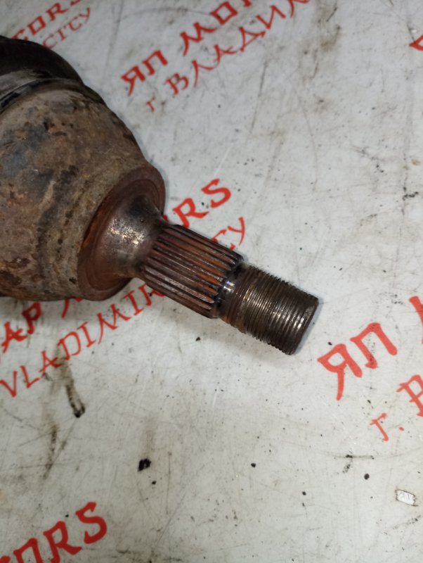 Привод, 3500 рублей, Владимир