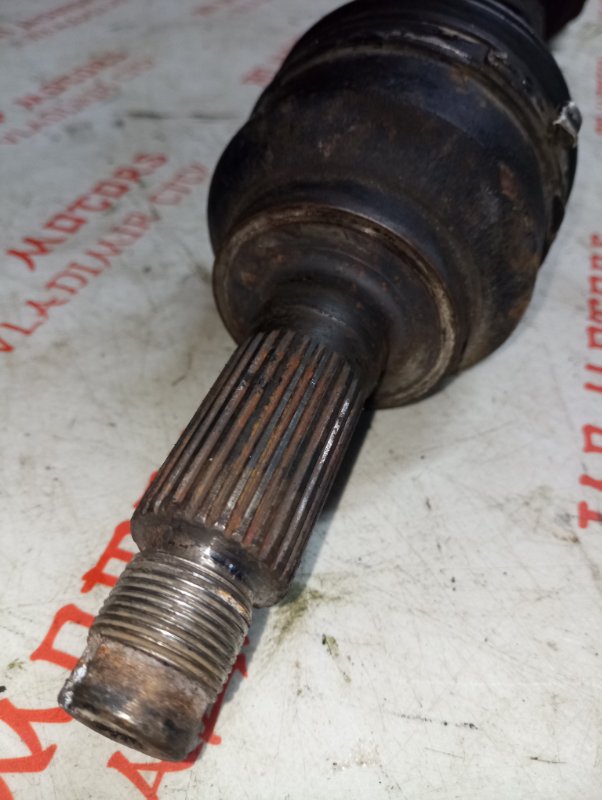 Привод, 5000 рублей, Владимир