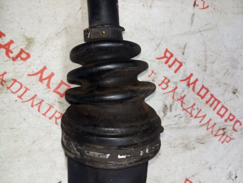 Привод, 5000 рублей, Владимир