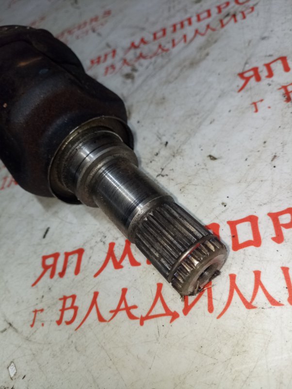 Привод, 5000 рублей, Владимир