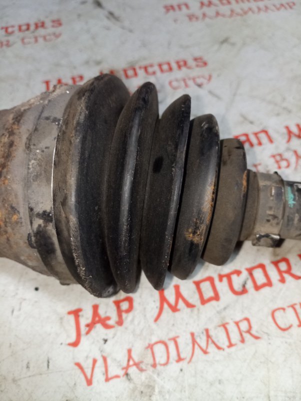 Привод, 5000 рублей, Владимир