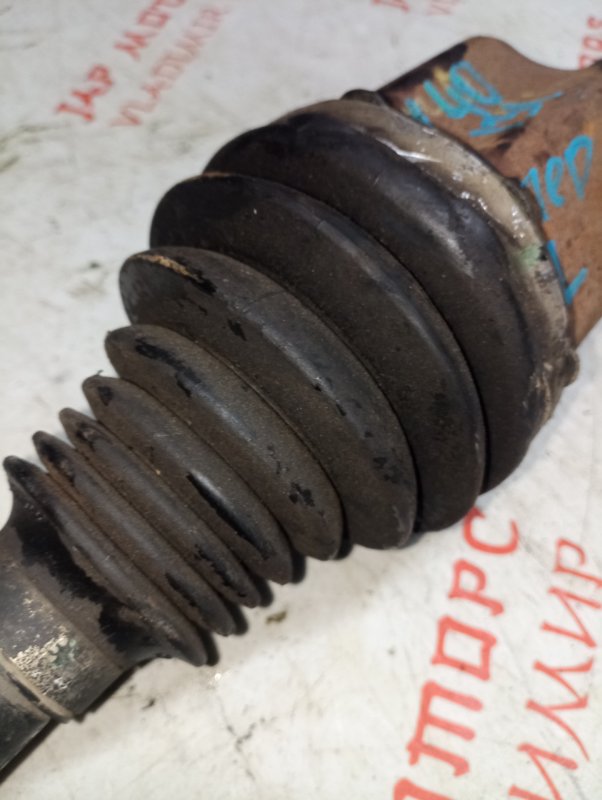 Привод, 5000 рублей, Владимир